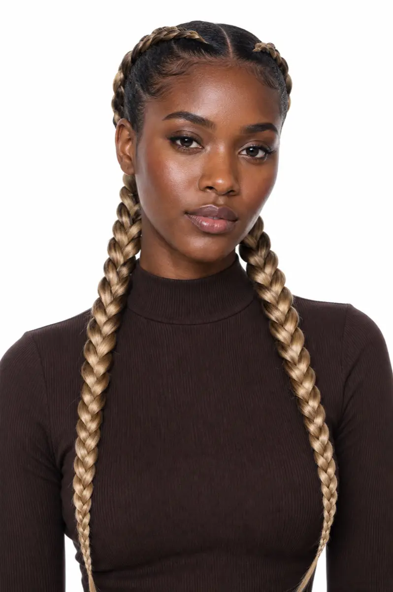 Two Braid Blonde style image 1