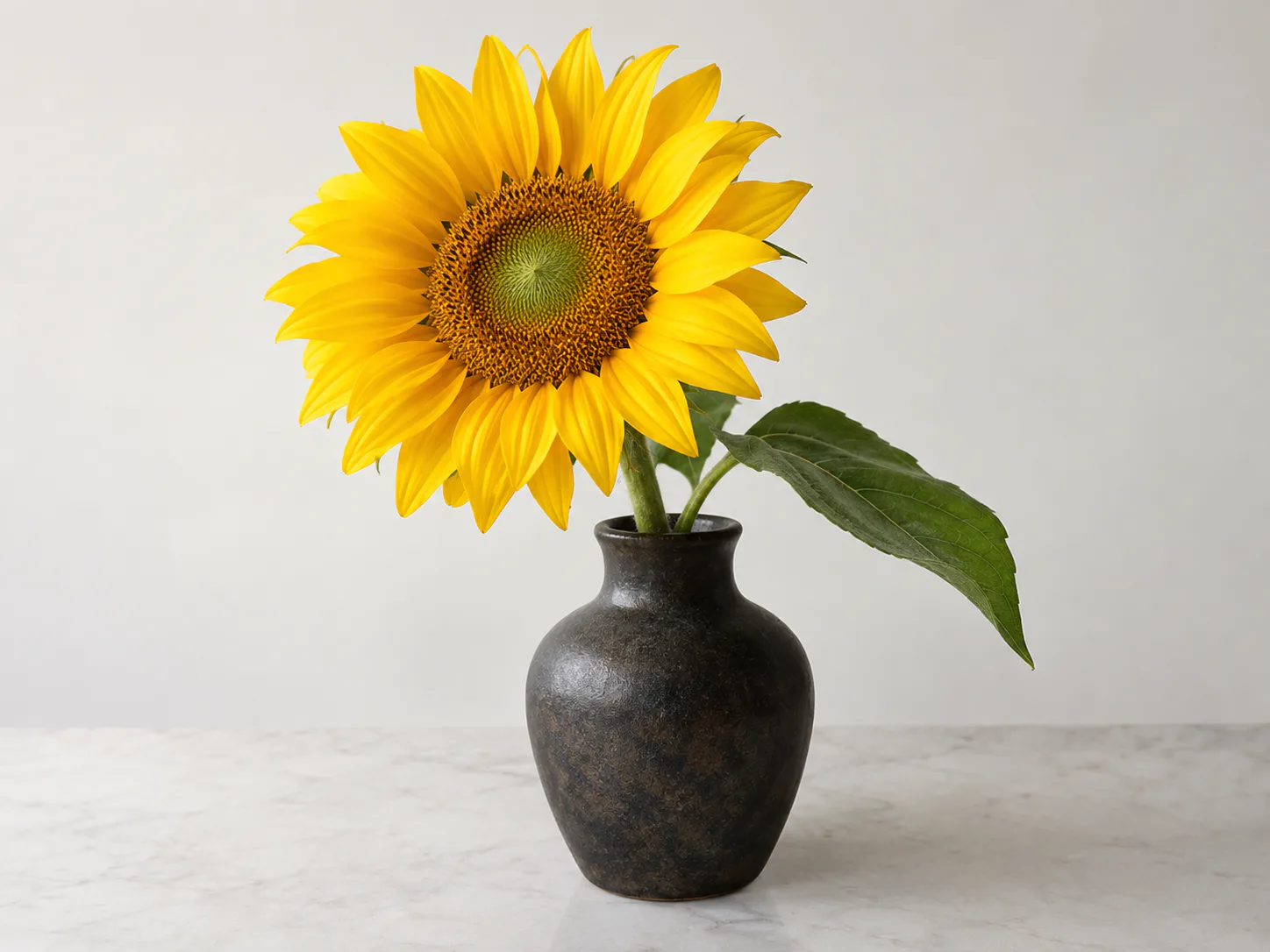 Botanische Grafiken: Original. Bewahre Blütenblätter, Vase und Bildposition.