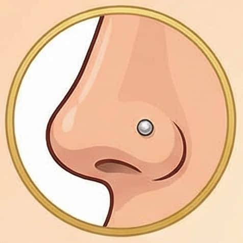 Mini stud de fosa nasal